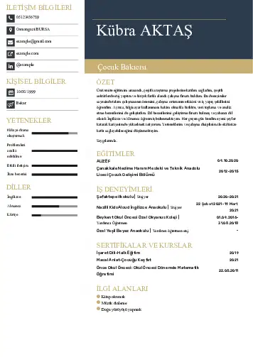 Çocuk Bakıcısı CV Örnekleri cv indir